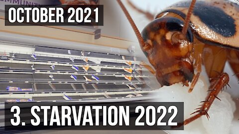 Part 3 - Starvation Begins in 2022