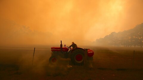 New South Wales Announces Investigation Into Cause Of Bushfires