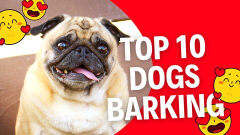 TOP 10 dog barking videos compilation 2016 ♥ Dog barking sound - Funny dogs