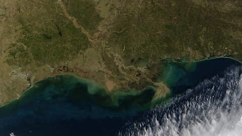 Scientists Predict Near-Record 'Dead Zone' In The Gulf Of Mexico