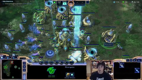 Protoss: Wings of Liberty - Mission 9b: Wack-a-infested mole