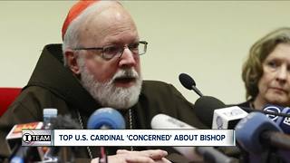 Top U.S. cardinal and papal adviser says Vatican should investigate Bishop Malone