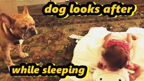 the dog is watching the child while he sleeps