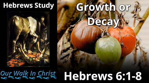 Growth or Decay | Hebrews 10