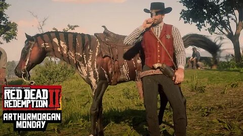 Red Dead Redemption 2 - Arthur Morgan Monday - #RDR2 #RDO #freeaim #PS4Live #warpathTV