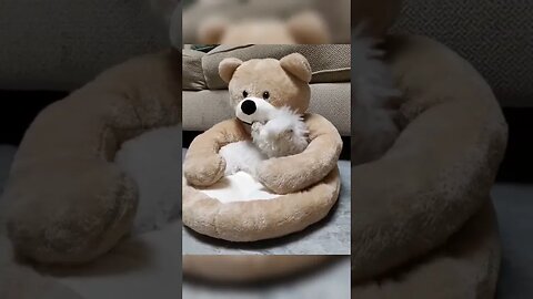 Pupper loves his new bed..🐶🛏️🧸😍