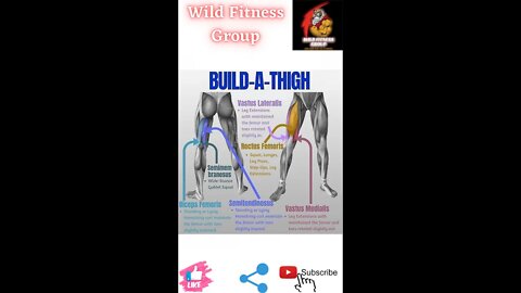 🔥Build a thigh🔥#fitness🔥#wildfitnessgroup🔥#shorts🔥