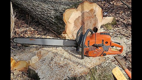 Chainsaw "Gear" & PPE's For Hobby Farm Wood Lot Management & Felling Trees