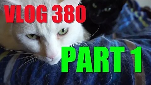 VLOG 380 PART 1: The Cat hammock (and a short rant)