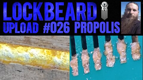 UPLOAD #026. Propolis