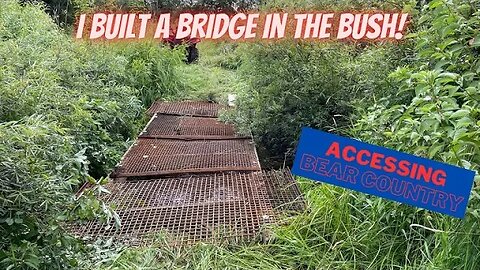 I built a bridge in the bush!