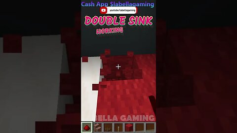 Working DOUBLE Sink | Minecraft