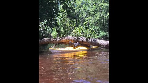 June 8, 2024 LRCC and Lumber River 8.8 miles or twisty river