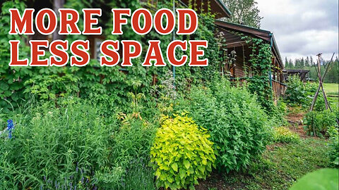 Grow MORE Food in LESS Space with a Food Forest | Pantry Chat