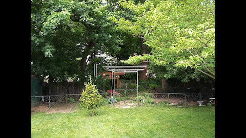 Final Torii gateway and fencing walkthrough