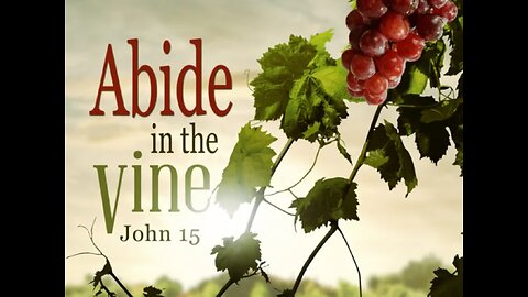 Abide in the Vine Sunday Service - 4-21-2024 - with Marvin Moyer