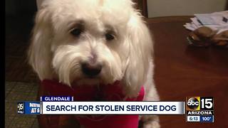 Valley veteran searching for stolen service dog and car