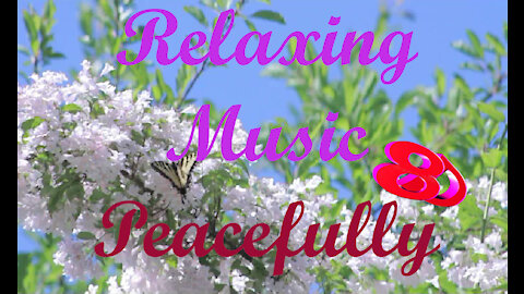 Peacefully Relaxing Music *** 8d Audio