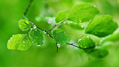 sleep with these sounds of rain and thunder ASMR4