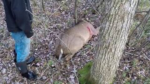 2019 Archery Buck