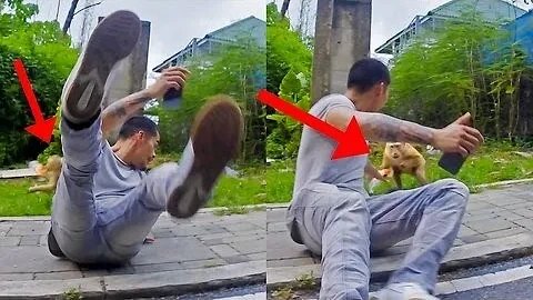 I Got Robbed by a Monkey in Thailand