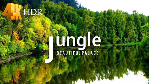 beautiful Jungle nature beautiful palace