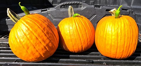 Pumpkin Spice Recipes 30-06 vs 6.5 Creedmoor