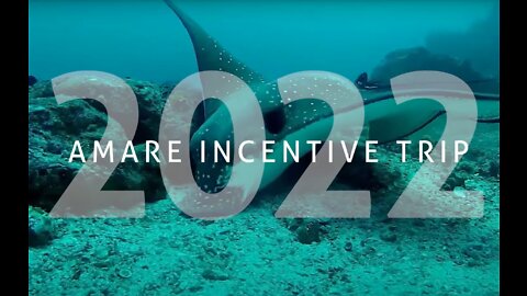 Amare Global Incentive Trip 2022