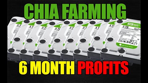 6 Months Of Farming CHIA | Profits?