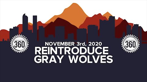 Proposition 114: Colorado voters to decide whether to reintroduce and manage gray wolves