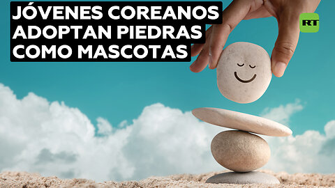 ‘Millennials’ surcoreanos son tendencia al comprar piedras y convertirlas en sus mascotas