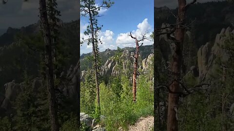 Amazing View From A Canyon In South Dakota