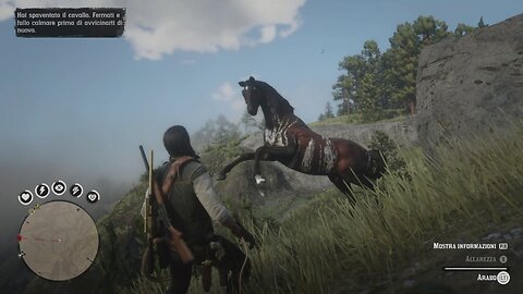 Where you can find the WARPED BRINDLE ARABIAN, Unique Horse