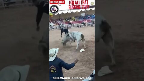 Crazy Train Bull from Mexico #bullriding #smalltownamerica