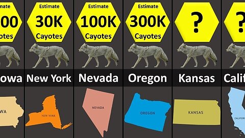 Coyote Population in USA 🇺🇸 by States