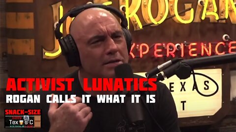 Joe Rogan Calls Out the Activist Culture Cult Killing Productivity and Creativity