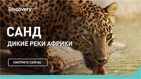 Река Санд | Дикие реки Африки | Discovery