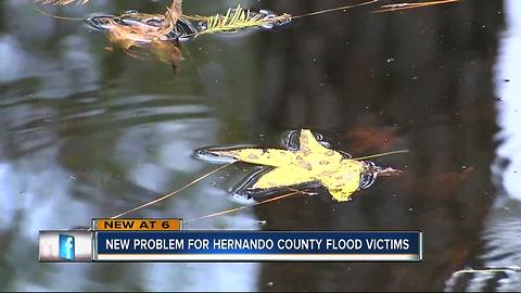 Water contamination problems arise for Withlacoochee flood victims