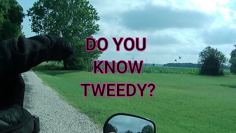 SO YOU KNOW TWEEDY? #tweedy #shorts #sundayshorts