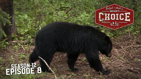 BEAR'N DOWN ALBERTA STYLE - Archer’s Choice (Full Episode) // S12: Episode 8