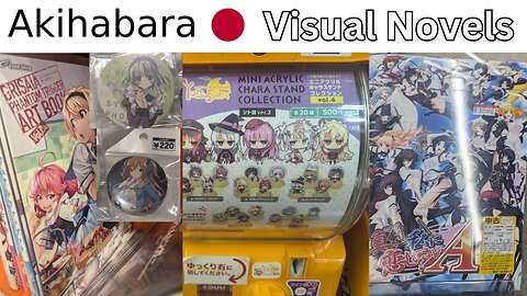 Guide to Buying Physical Visual Novel Stuff in Akihabara Japan (vlog tour)