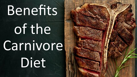 Benefits of the Carnivore Diet