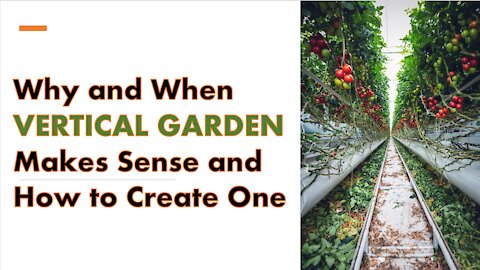 WHY & WHEN Vertical Garden Makes Sense and How to Create One