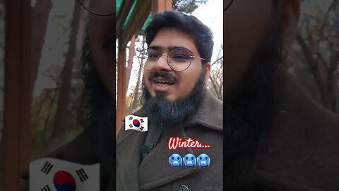 Winter in Seoul.... #youtubeshorts #duet #viralshorts2023 #familygames #viral