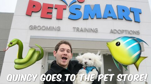 QUINCY GOES TO THE PET STORE!