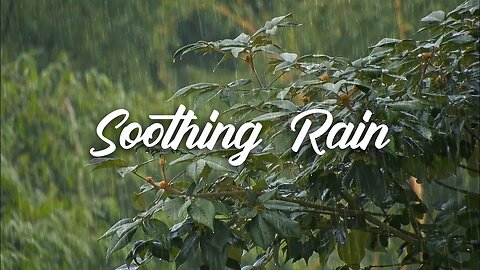 Nature Sounds: Rain Sounds One Hour for Sleeping, Sleep Aid for Everybody | 1 Hour Relax Sleep Spa