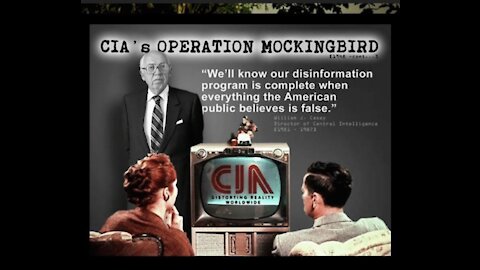 PROJECT MOCKINGBIRD