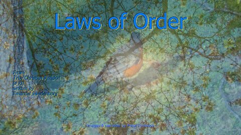 Laws of Order