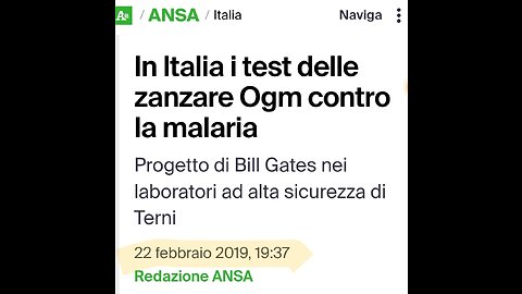 TERNI - ZANZARA OGM: LE VERITÀ NASCOSTE CHE DEVI SAPERE "Cosa si nasconde dietro questa follia?". [in descrizione troverai le fonti riguardo le zanzare allevate da Bill Gates]