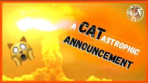 Official Teaser Trailer: #9Cats2Lives Series (Coming Soon!) | Funny Cat Videos